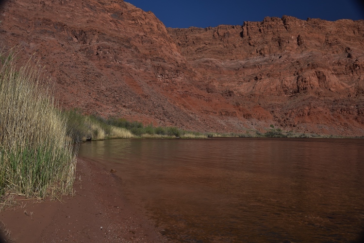 The Colorado River at Lees Ferry